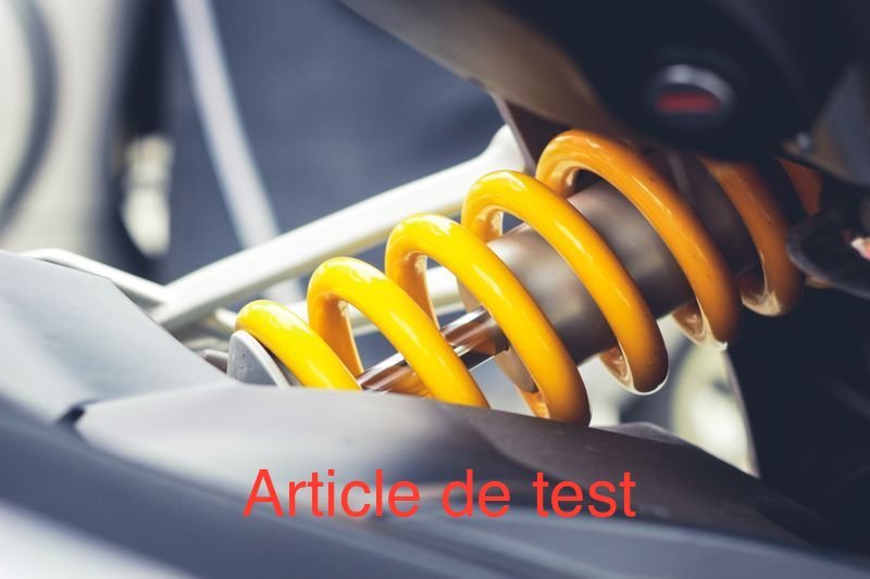 Amortisseurs Avant - Paire