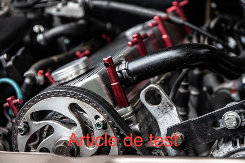 Courroie de Distribution Renforcée