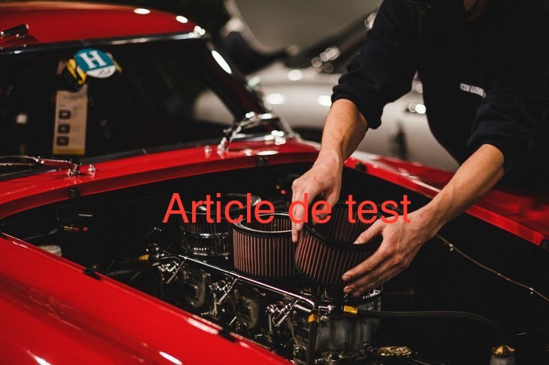 Filtre à Air Moteur Haute Performance